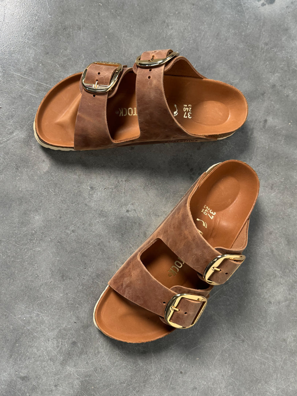 Arizona Big Buckle Oiled Leather