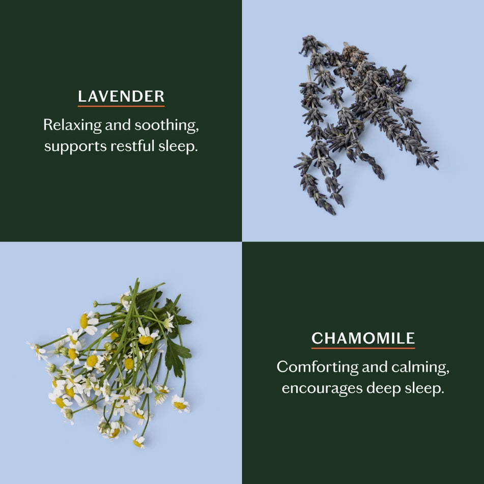 Deep Moisturizing Lotion Bar Starter Kit