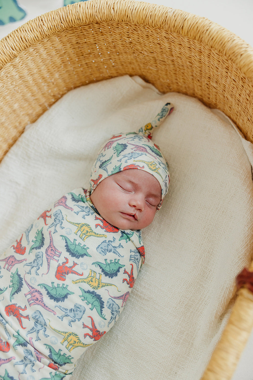 Dinosaurs of Jurassic Park Knit Blanket