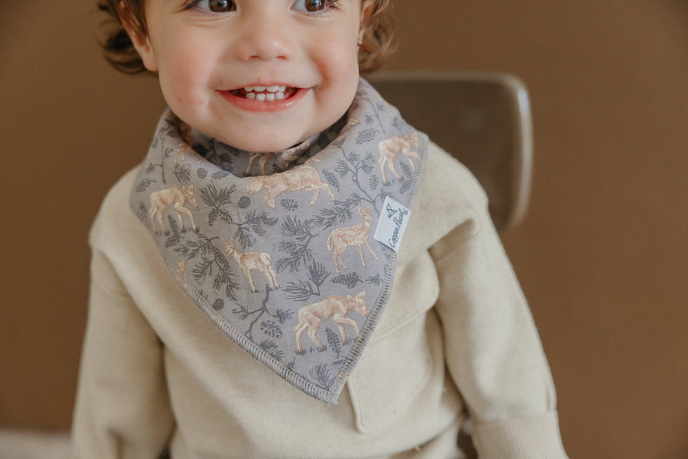 Bandana Bibs (4-Pack)