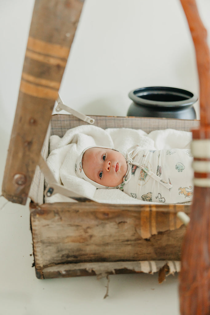 Wizarding World Knit Blanket