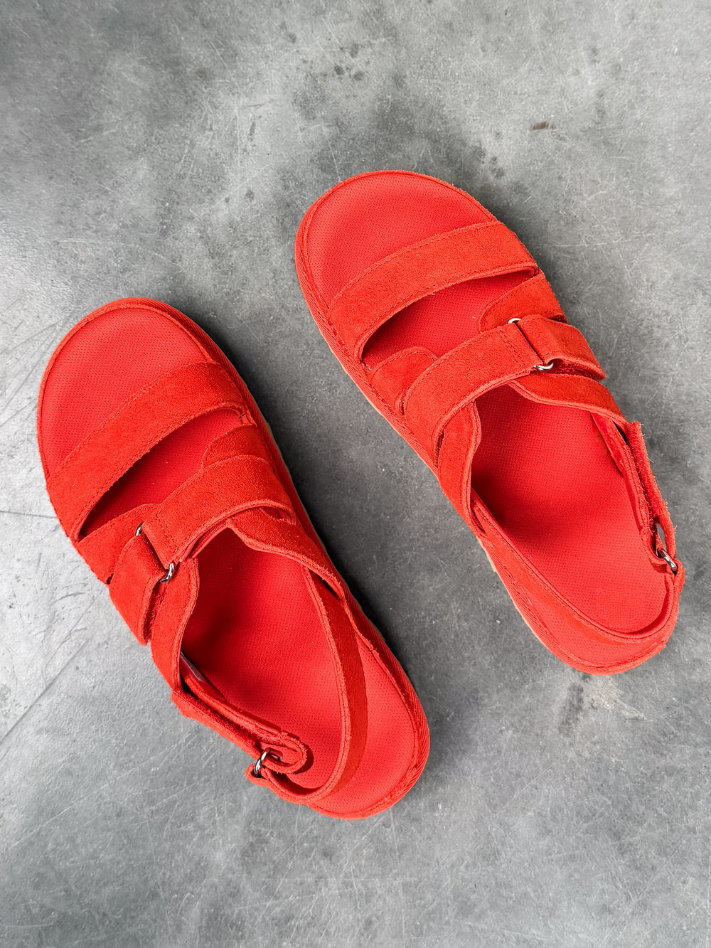 Women's Goldenstar Gleam