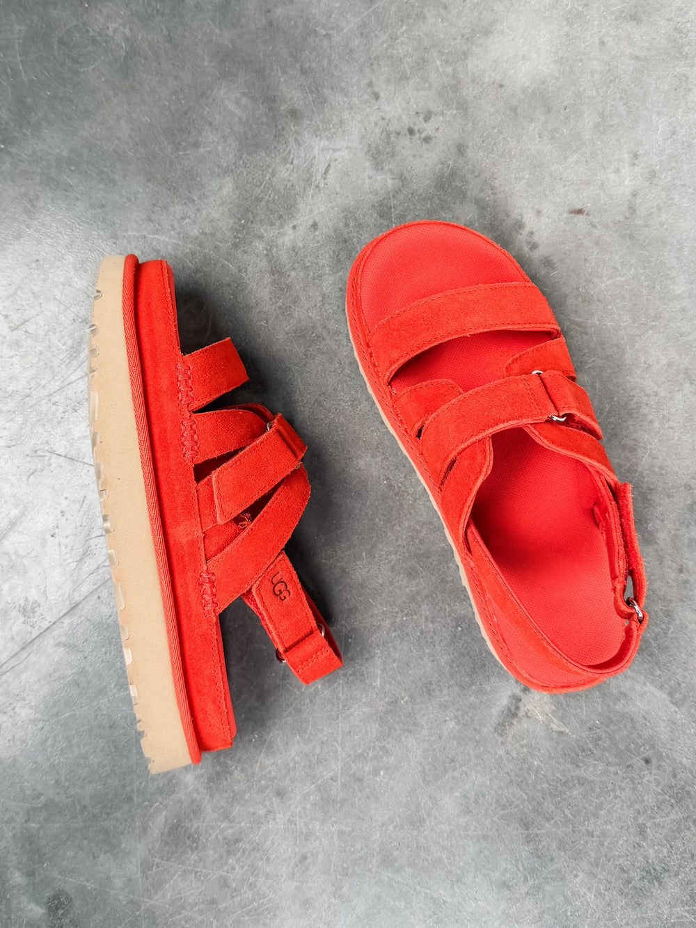 Women's Goldenstar Gleam