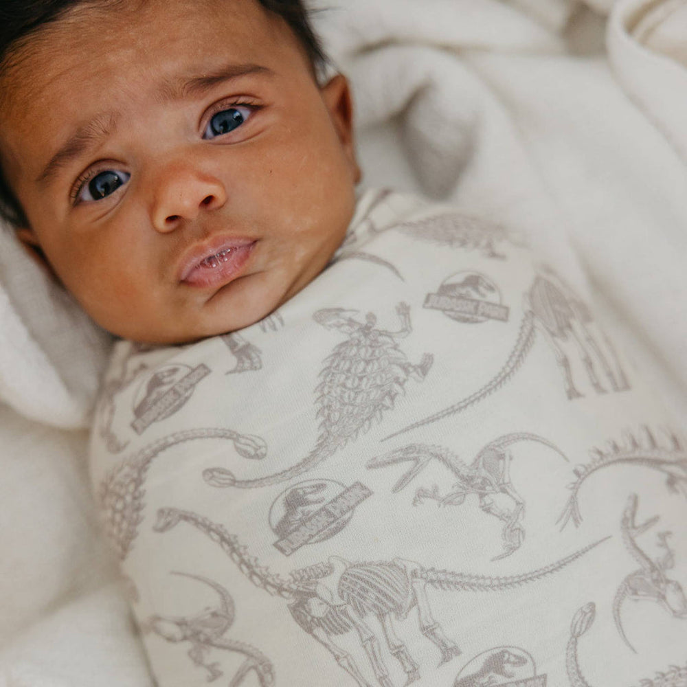 Jurassic Park Knit Blanket