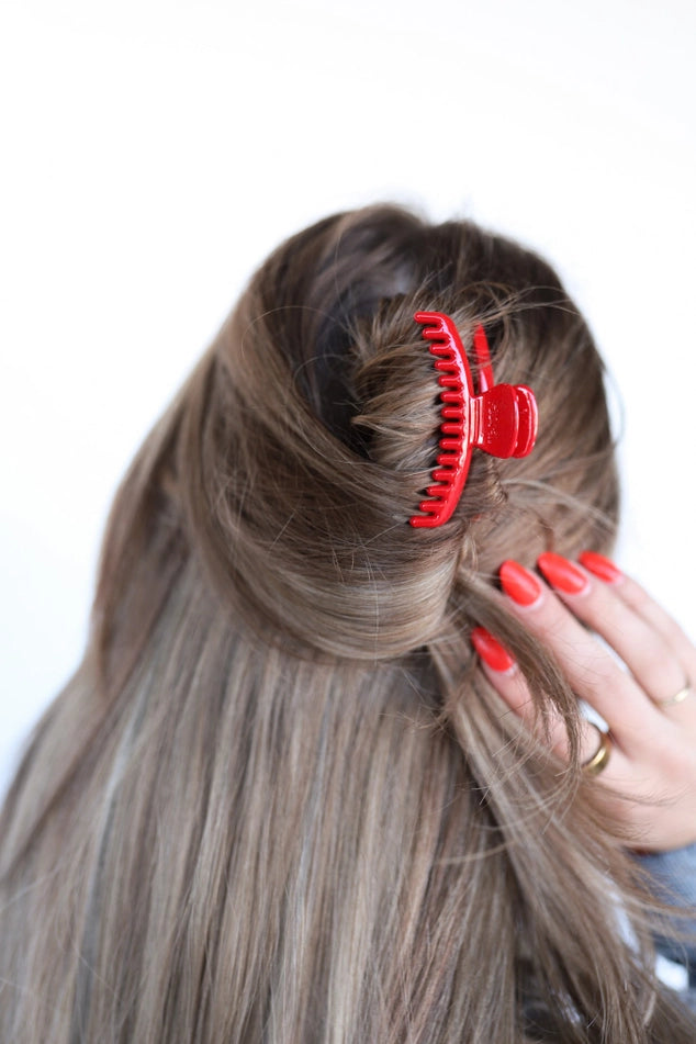 Shiny Mini Hold Everything Claw Clip