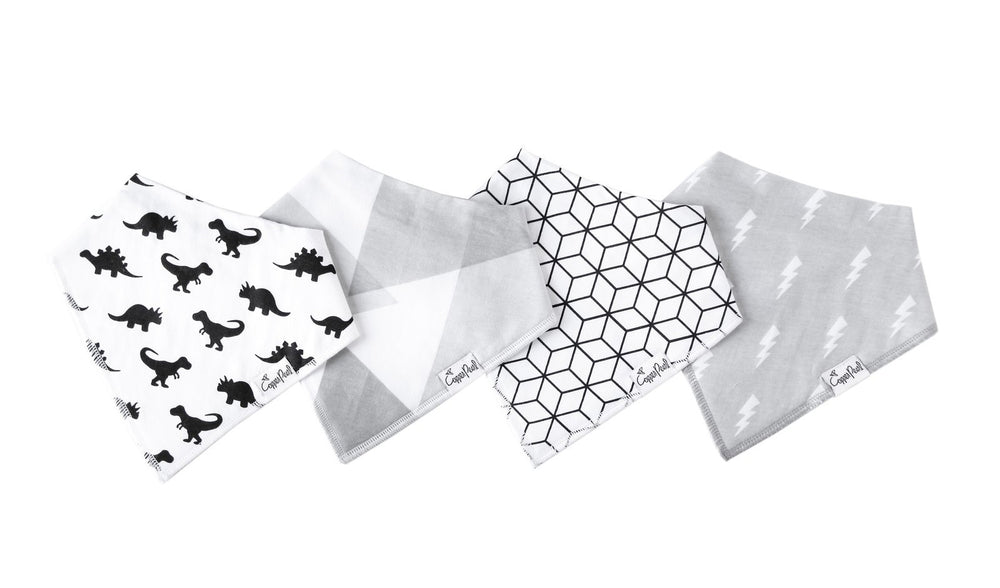 Bandana Bibs (4-Pack)