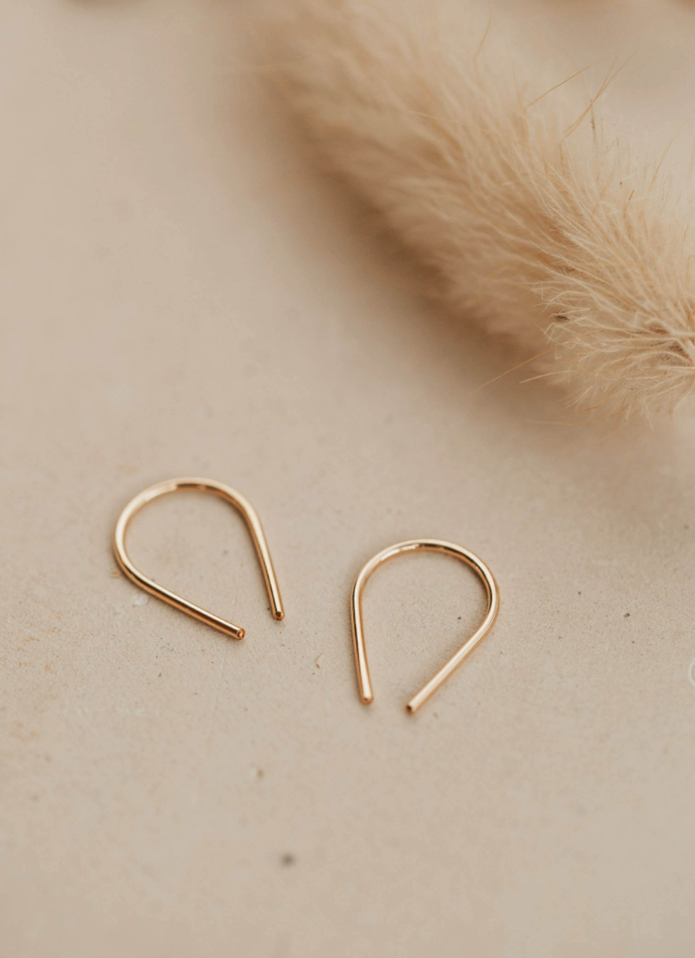 Tiny Horseshoe Earrings